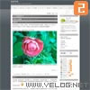 KEFAN0315